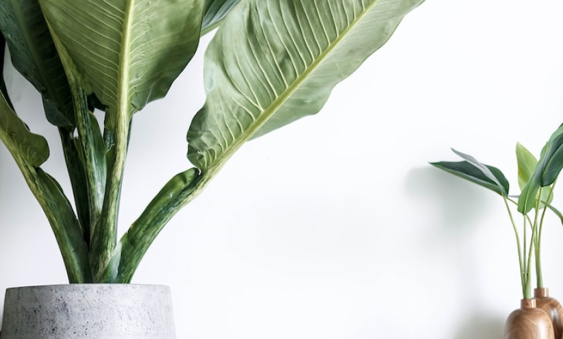 Thumbnail image for Integer gravida lacus velit, id accumsan est semper in.